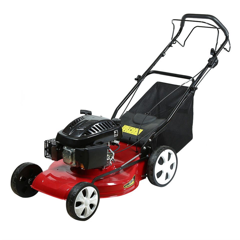 173cc 21-in Gas Self-propelled Reel Lawn Mower